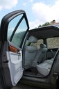 IMG_5216.jpg