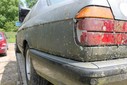 IMG_5222.jpg