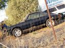 DSC02544.JPG