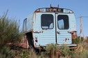 IMG_5958.jpg