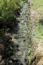 IMG_5918.jpg
