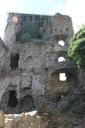 IMG_5937.jpg