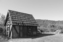 IMG_6000.jpg