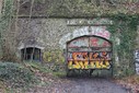 IMG_8154.jpg
