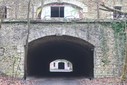 IMG_8155.jpg