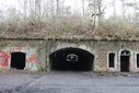 IMG_8158.jpg
