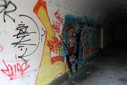 IMG_8162.jpg