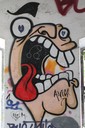 IMG_8164.jpg