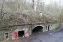 IMG_8168.jpg