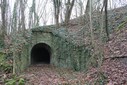 IMG_8192.jpg