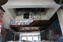 IMG_8283.jpg