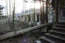 IMG_8284.jpg