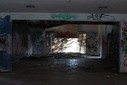 IMG_8287.jpg