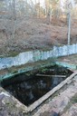 IMG_8295.jpg