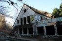 IMG_8300.jpg