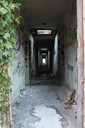 IMG_8305.jpg