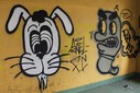 IMG_8069.jpg