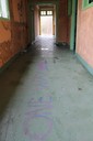 IMG_8075.jpg