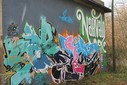 IMG_8081.jpg