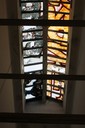 IMG_8082.jpg
