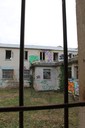 IMG_8084.jpg