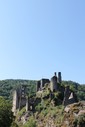 IMG_8835.jpg