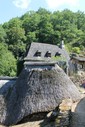 IMG_8838.jpg