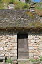 IMG_8842.jpg