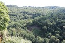 IMG_8863.jpg