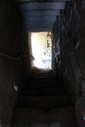 IMG_8865.jpg