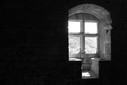 IMG_8868.jpg